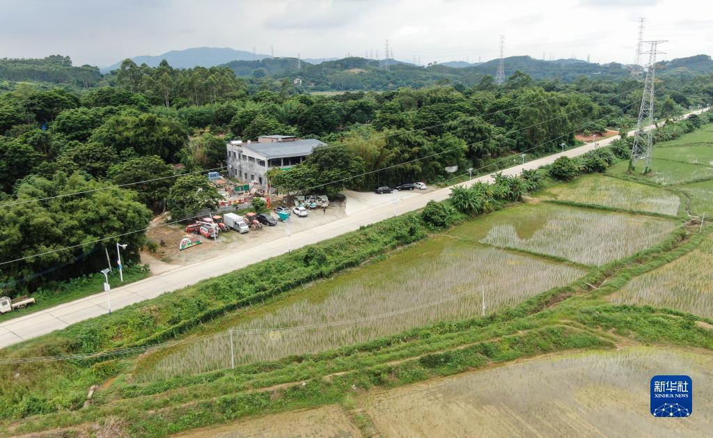 疯狂的万炮捕鱼